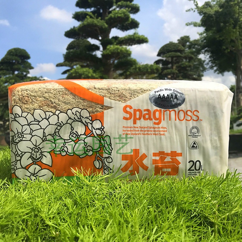 Preserved Moss Sheet - 뉴질랜드산 5A 등껍질이 있는 이끼, 사슴뿔형