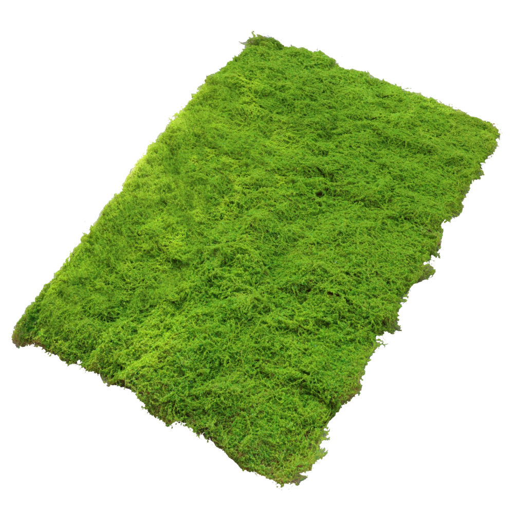 인조 이끼 잔디 매트, 실내 정원 장식용 인조 녹색 잔 - Preserved Moss Sheet 리뷰 및 가격