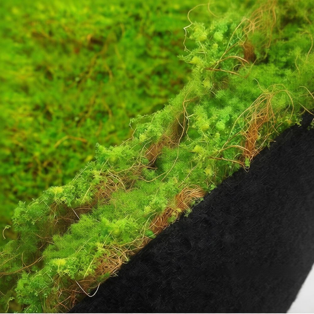 인조 이끼 잔디 매트, 실내 정원 장식용 인조 녹색 잔 - Preserved Moss Sheet 리뷰 및 가격