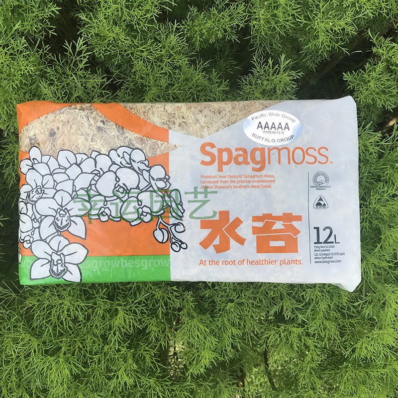 뉴질랜드산 5A 등껍질이 있는 이끼, 사슴뿔형 고사리, - Preserved Moss Sheet 리뷰 및 가격