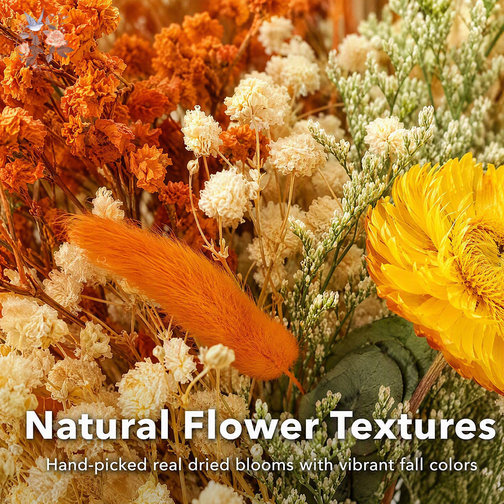 가을 드라이 플라워 부케 천연 오렌지 팜파스 그래스 유 - Eucalyptus Preserved 리뷰 및 가격