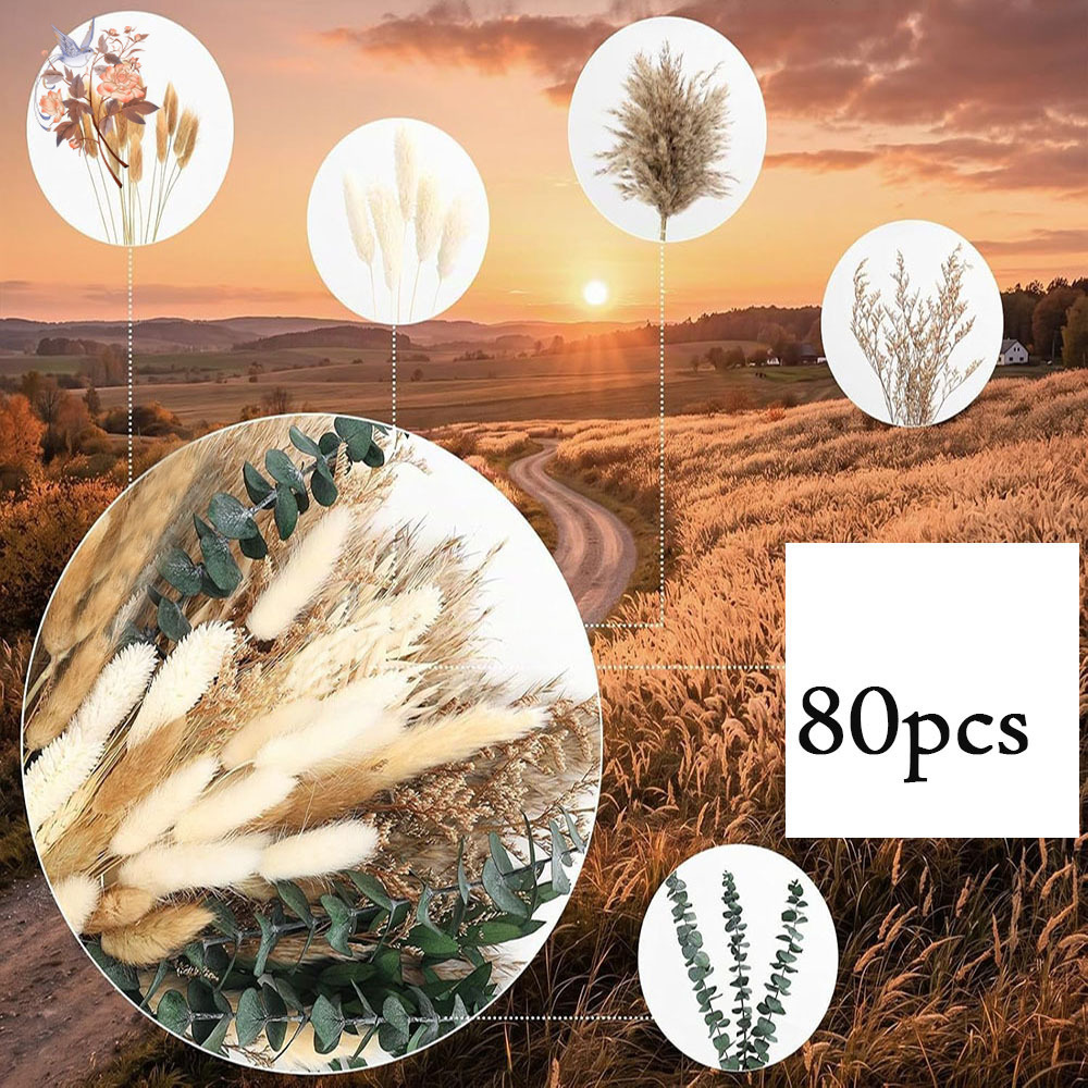 80개입 천연 건조 꽃다발, 팜파스 풀과 유칼립투스 잎 - Eucalyptus Preserved 리뷰 및 가격