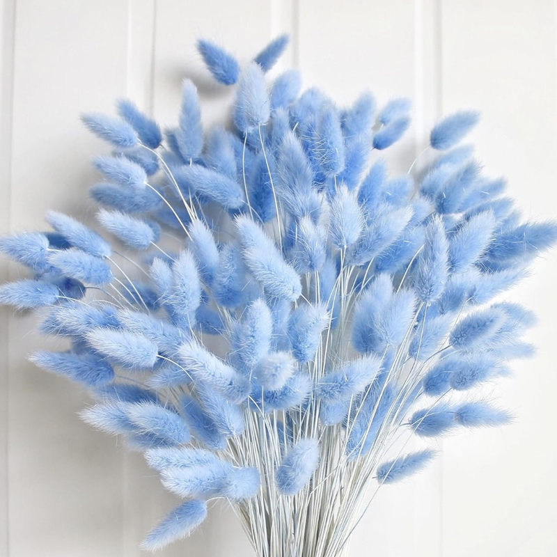 100PCS 블루 토끼 꼬리 잔디 토끼 꼬리 홈 룸 생 - Florist Supply Vases 리뷰 및 가격
